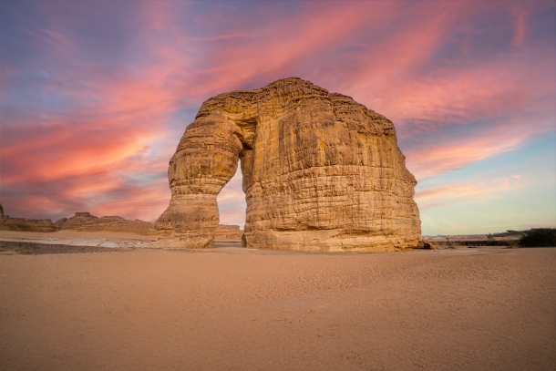 باقات السياحة السعودية