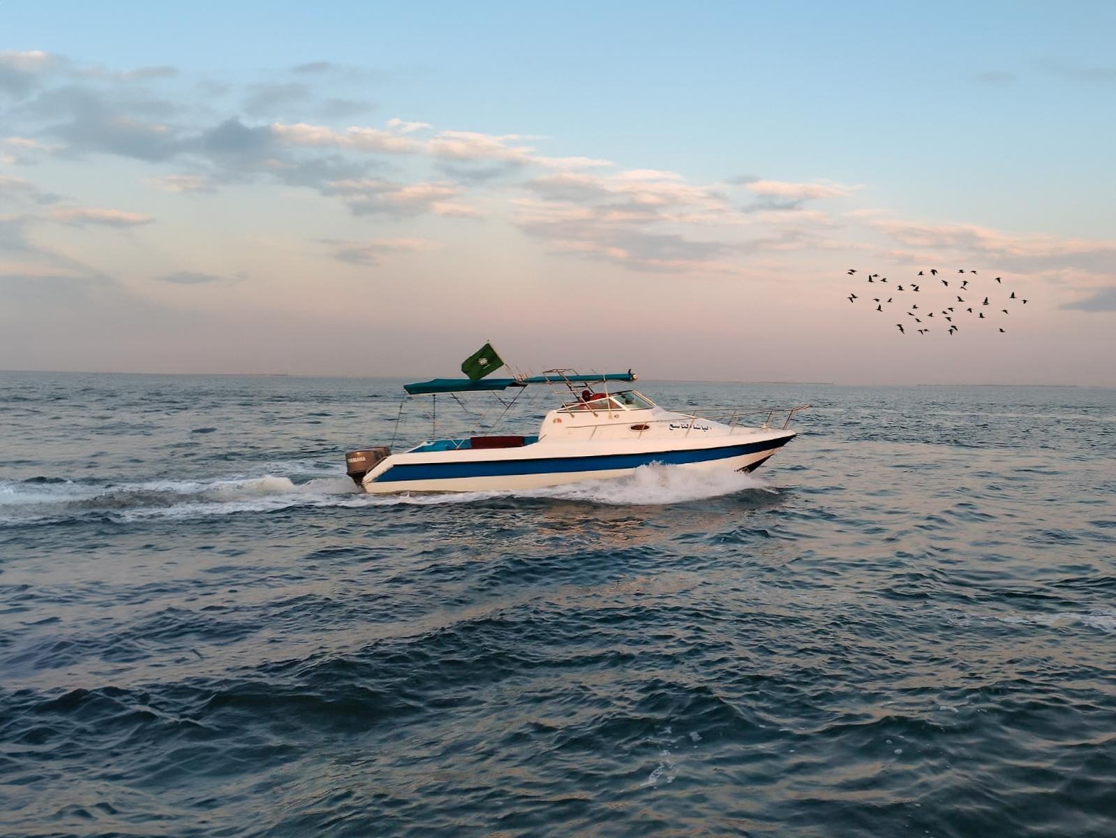 半月海灘乘船遊覽