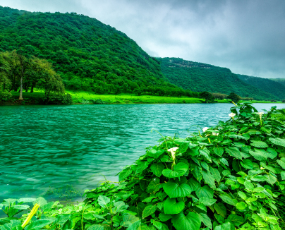 Khareef Dhofar - Salalah (4 Nights)