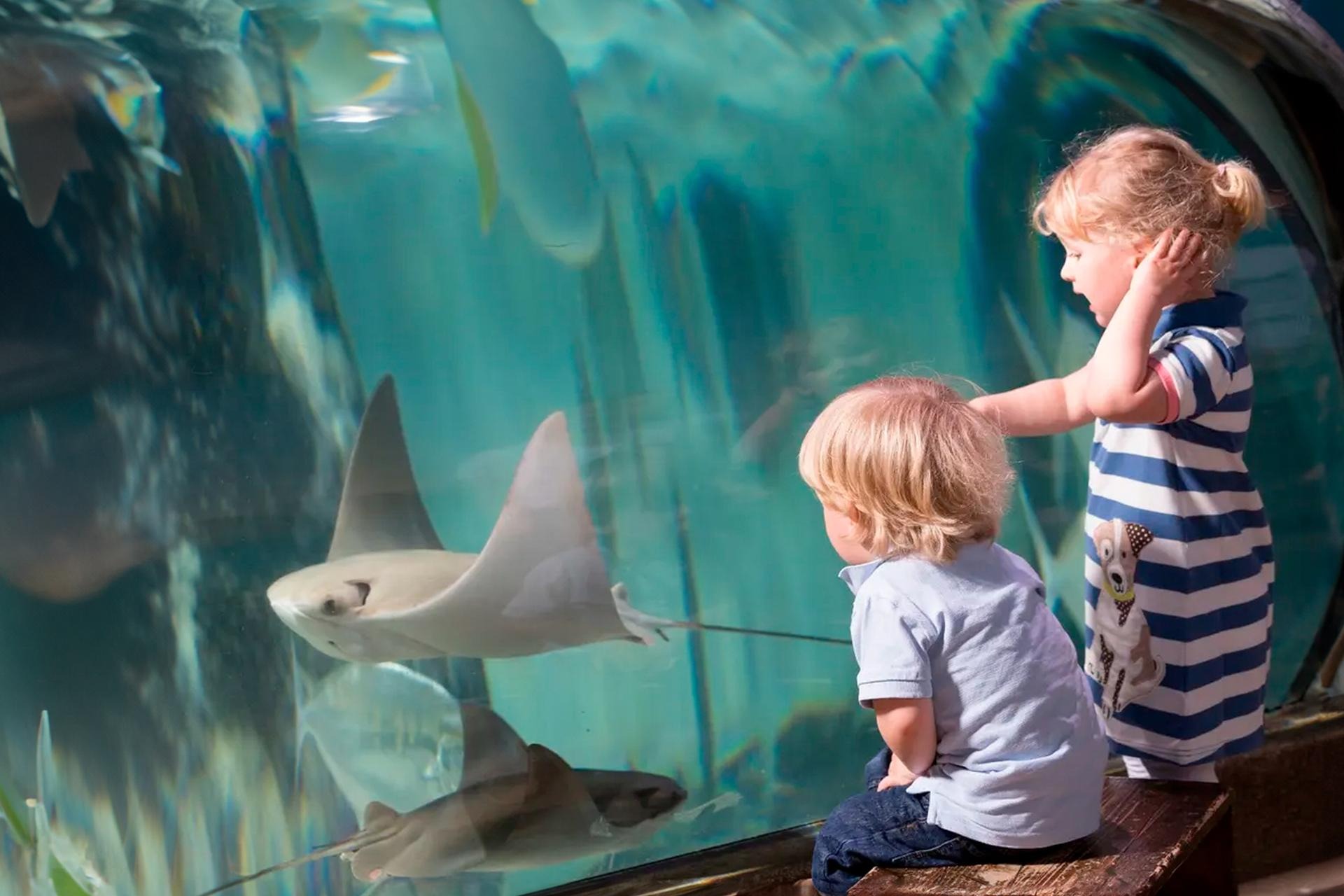 سي لايف أكواريوم في باريس