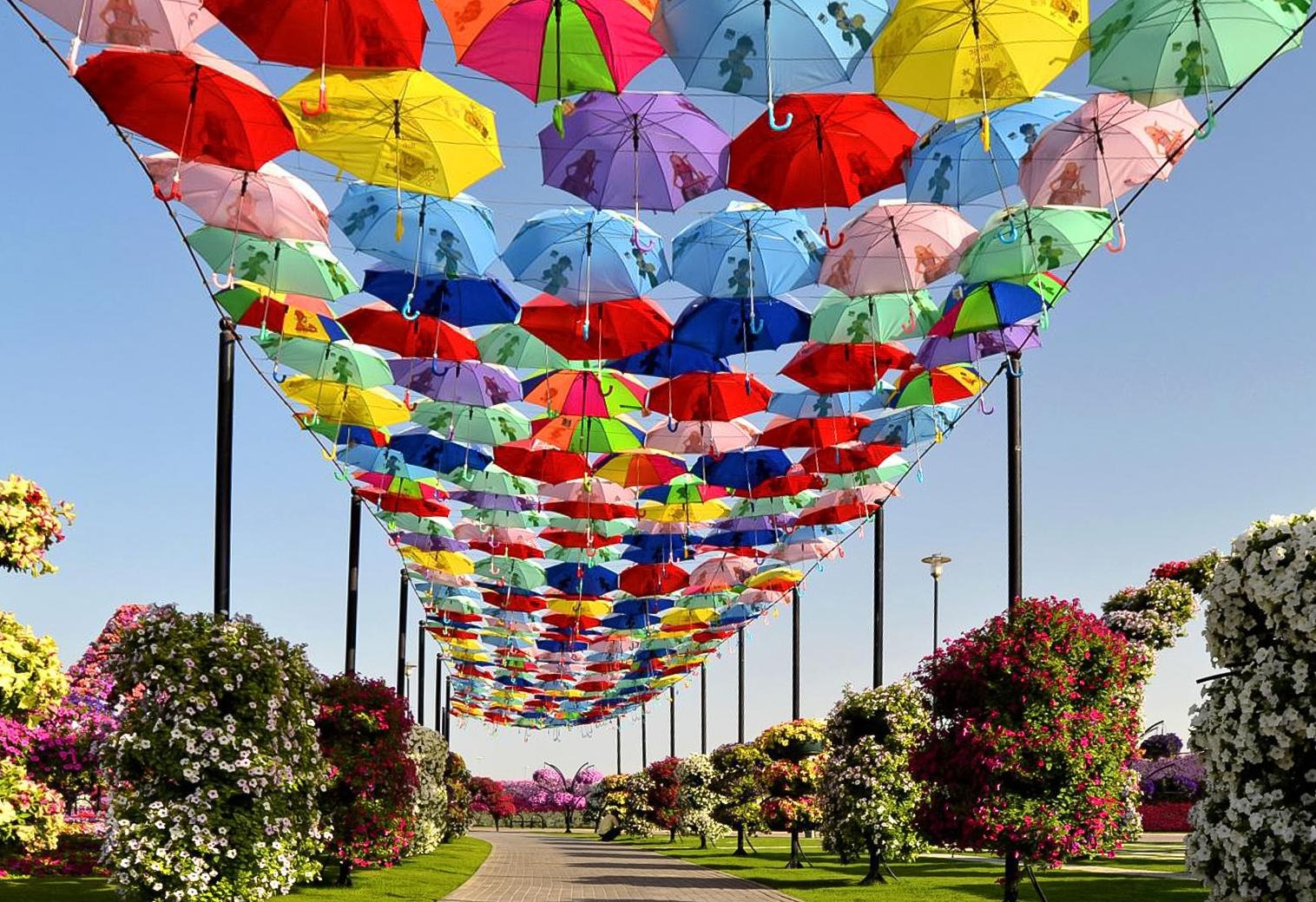 تذكرة ميراكل جاردن دبي