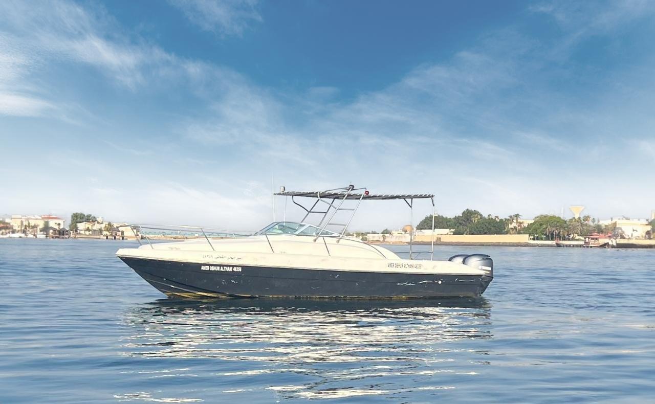 从珍珠码头出发的海风游船之旅