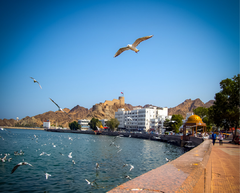 سلطنة عمان