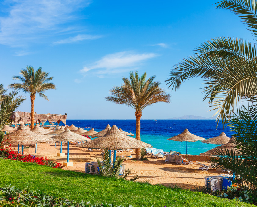 مصر