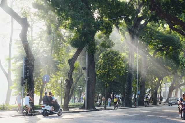 Vietnam